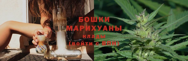шишки Наволоки