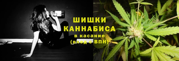 шишки Наволоки