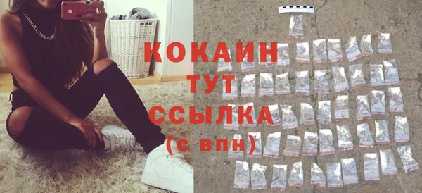шишки Наволоки