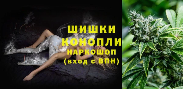 дживик Михайлов