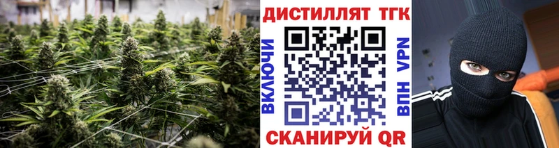 мориарти какой сайт Ивантеевка ТГК гашишное масло