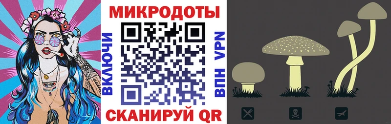 Псилоцибиновые грибы прущие грибы  Ивантеевка 