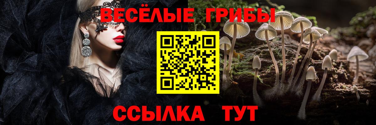 Ивантеевка  Псилоцибиновые грибы GOLDEN TEACHER  Вход с VPN 
