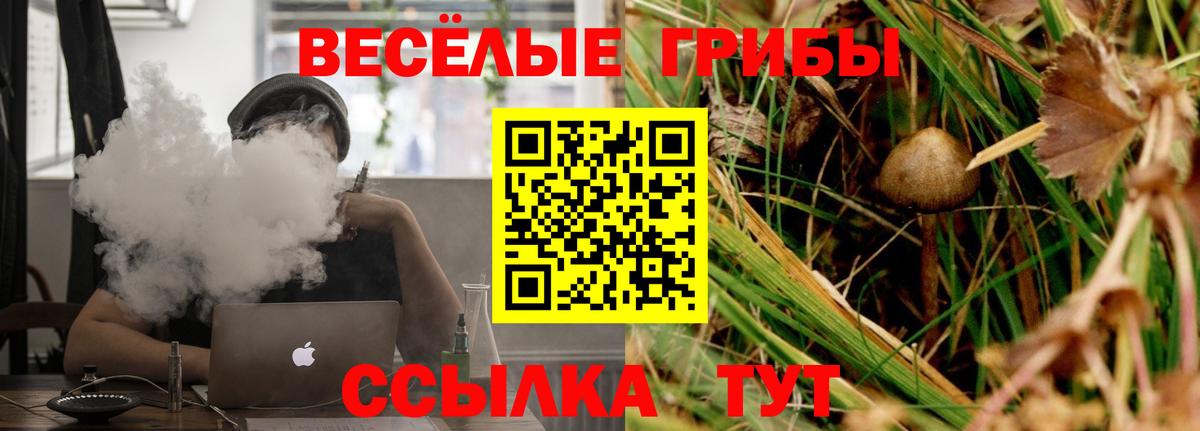 Псилоцибиновые грибы мухоморы Ивантеевка